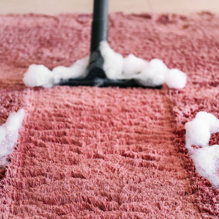 Carpet cleaning services in Los Angeles, CA Carpet cleaning services in Los Angeles, CA